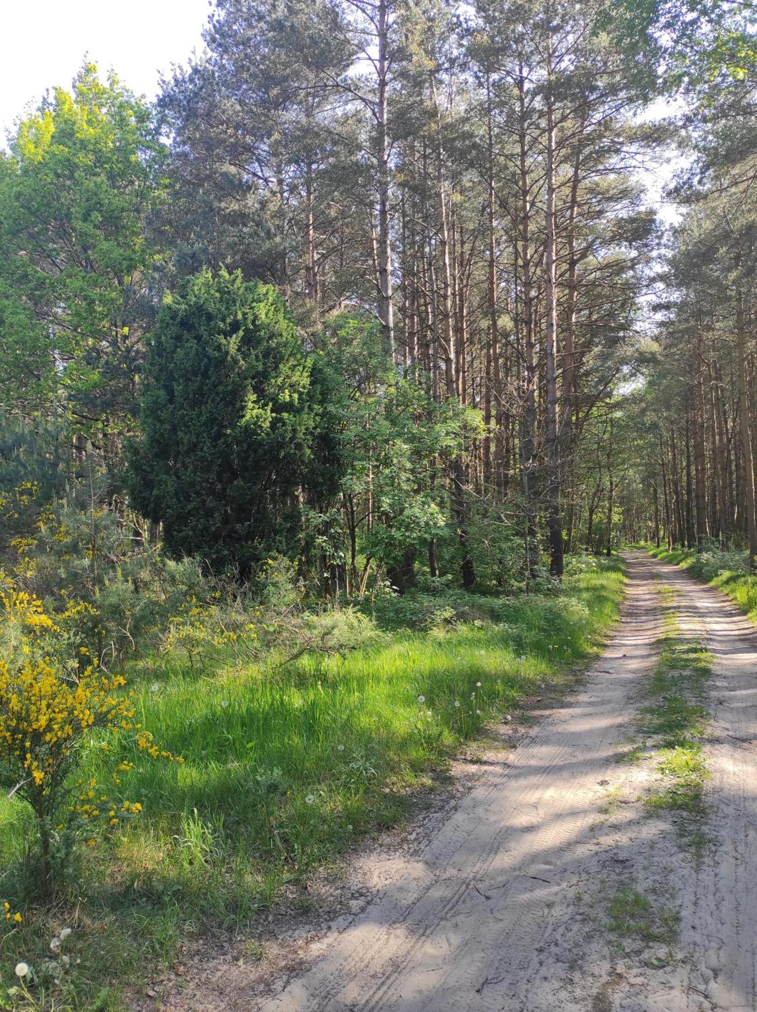 Domki Na Jastrzebiej Mieroszyno Экстерьер фото
